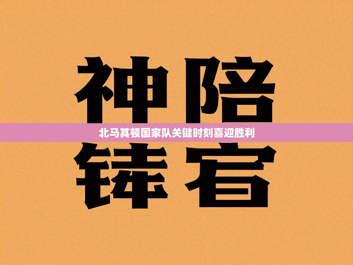 北马其顿国家队关键时刻喜迎胜利