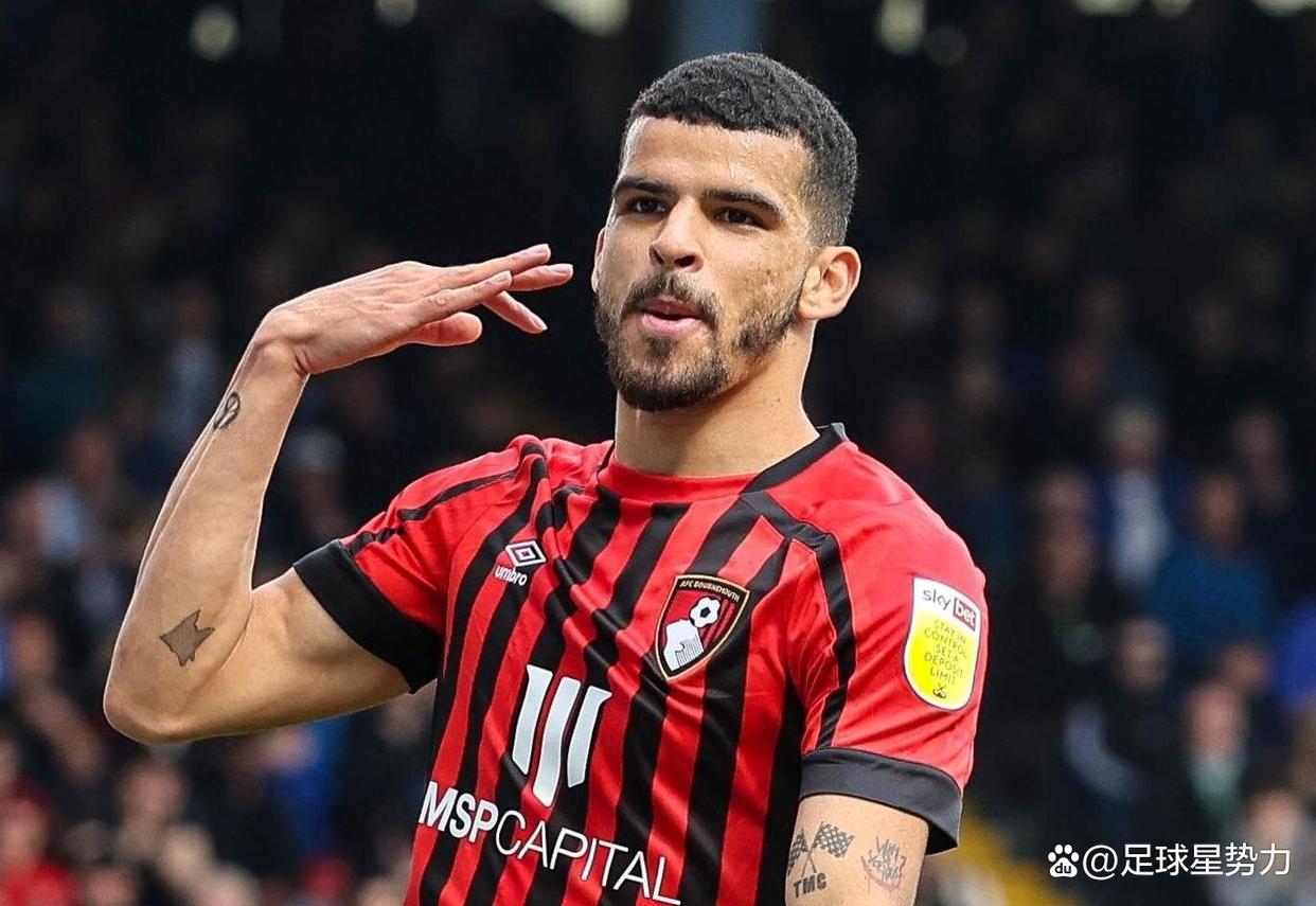 爱游戏在线登录-关于伯恩茅斯前锋当选最佳球员，个人荣誉加冕的信息